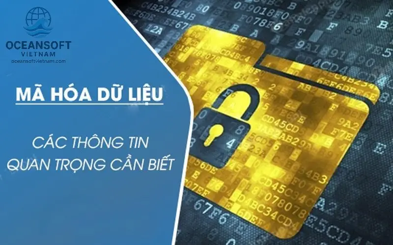 Tầm Quan Trọng Của Mã Hóa Dữ Liệu Trong Kỷ Nguyên Số 4 Mã hóa dữ liệu trong các lĩnh vực cụ thể