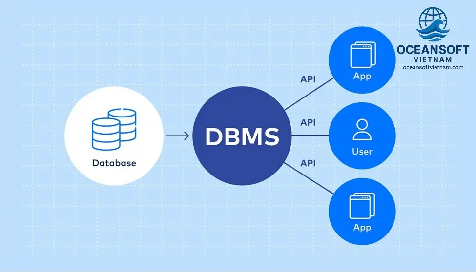 Một Số Hệ Quản Trị Cơ Sở Dữ Liệu Phổ Biến Hiện Nay 4 Lựa Chọn DBMS Phù Hợp