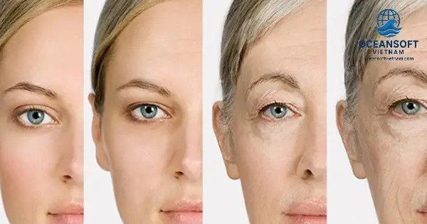 Các Nghiên Cứu Đột Phá Gần Đây Nhờ Ứng Dụng AI